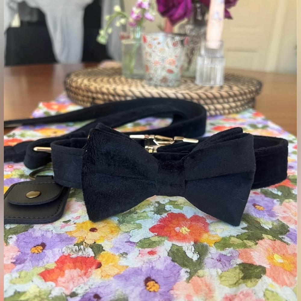 Dog Collar for Wedding (Black Velvet)